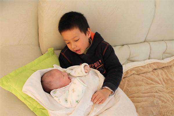 上海代生公司地址，上海供卵试管婴儿操作步骤（上海供卵公司）